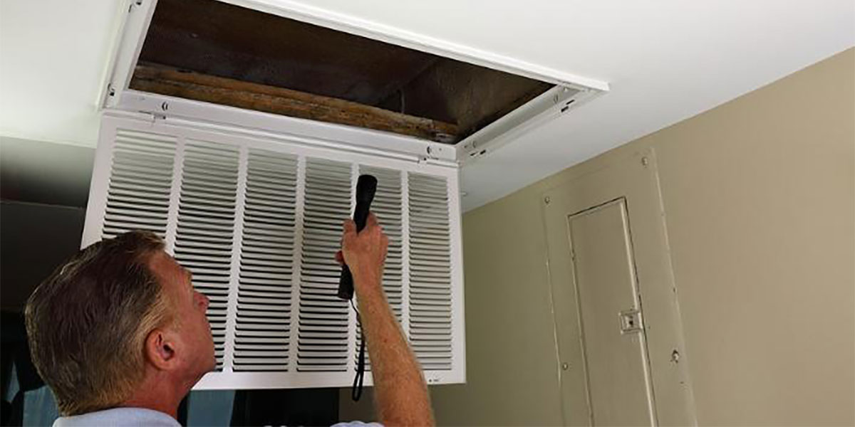 Allergens, Moisture & Mold, Oh My!