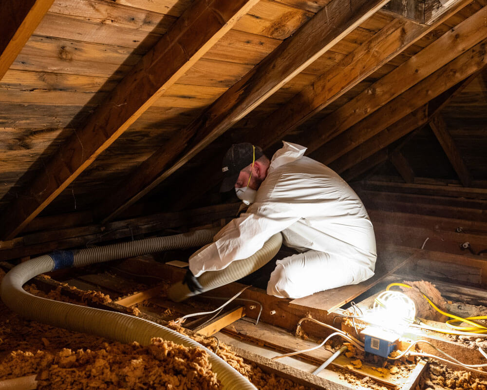 A worker in protective gear vacuums old insulation from an attic, preparing it for an upgrade.